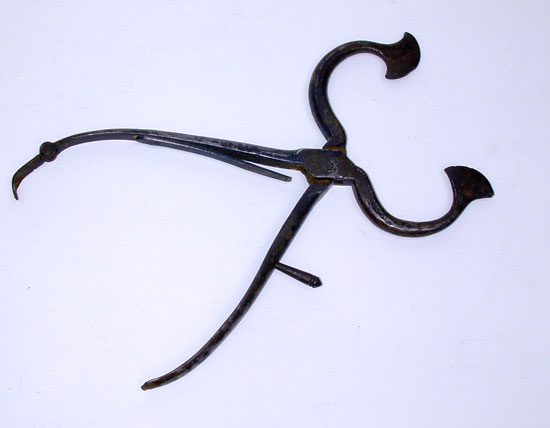 A Pair of 19th Century English Sugar Nippers