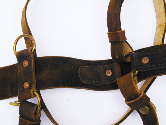 1851 BUFF SWORD BELT AND PLATE